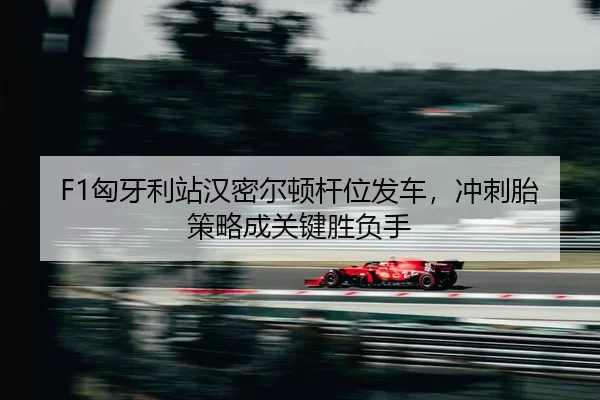 xiong-ya-li-zhan-han-mi-er-dun-gan-wei-fa-che-chong-ci-tai-ce-lve-cheng-guan-jian-sheng-fu-shou-2-564.jpg