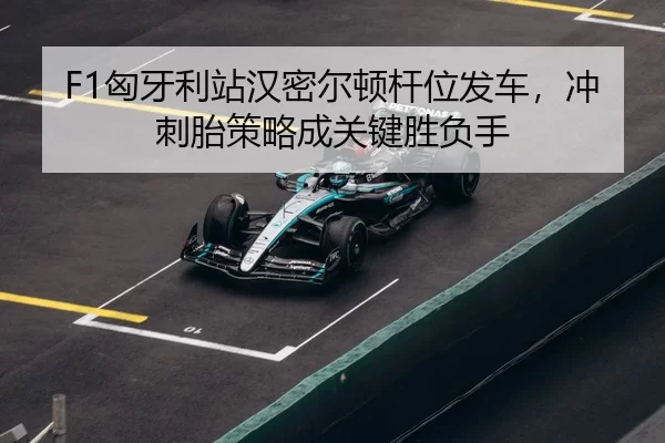xiong-ya-li-zhan-han-mi-er-dun-gan-wei-fa-che-chong-ci-tai-ce-lve-cheng-guan-jian-sheng-fu-shou-3-830.jpg