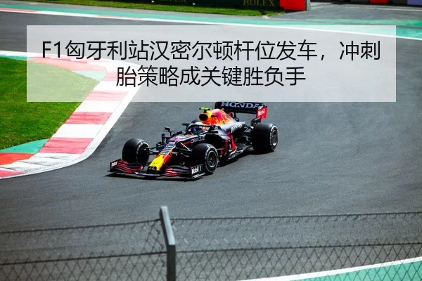 F1匈牙利站汉密尔顿杆位发车，冲刺胎策略成关键胜负手