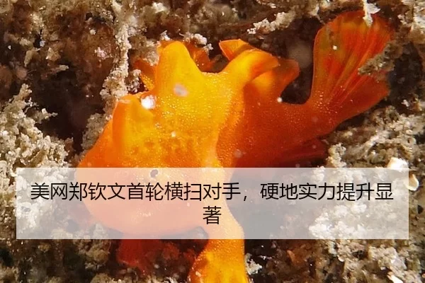 mei-wang-zheng-qin-wen-shou-lun-heng-sao-dui-shou-ying-di-shi-li-ti-sheng-xian-zhu-2-189.jpg