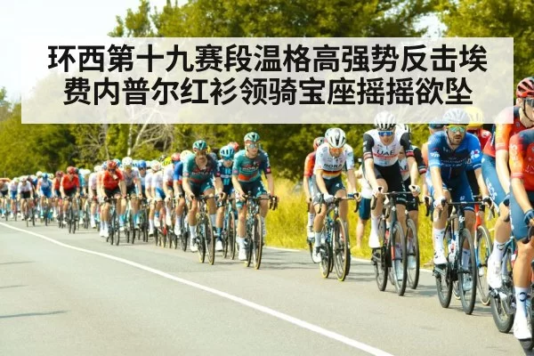 road cycling peloton